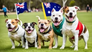 Read more about the article Debunking Bully Breed Myths in Australia